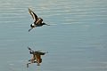 16 01 16_0642_edited-1